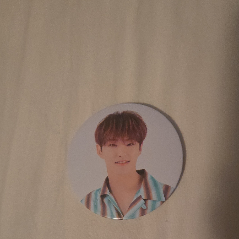 Hoshi Seventeen Kpop An Ode To You 2019 Concert Badge Official
